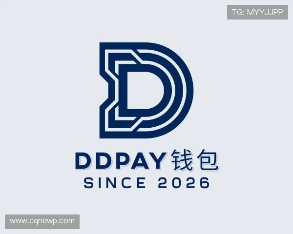 了解DDpay钱包